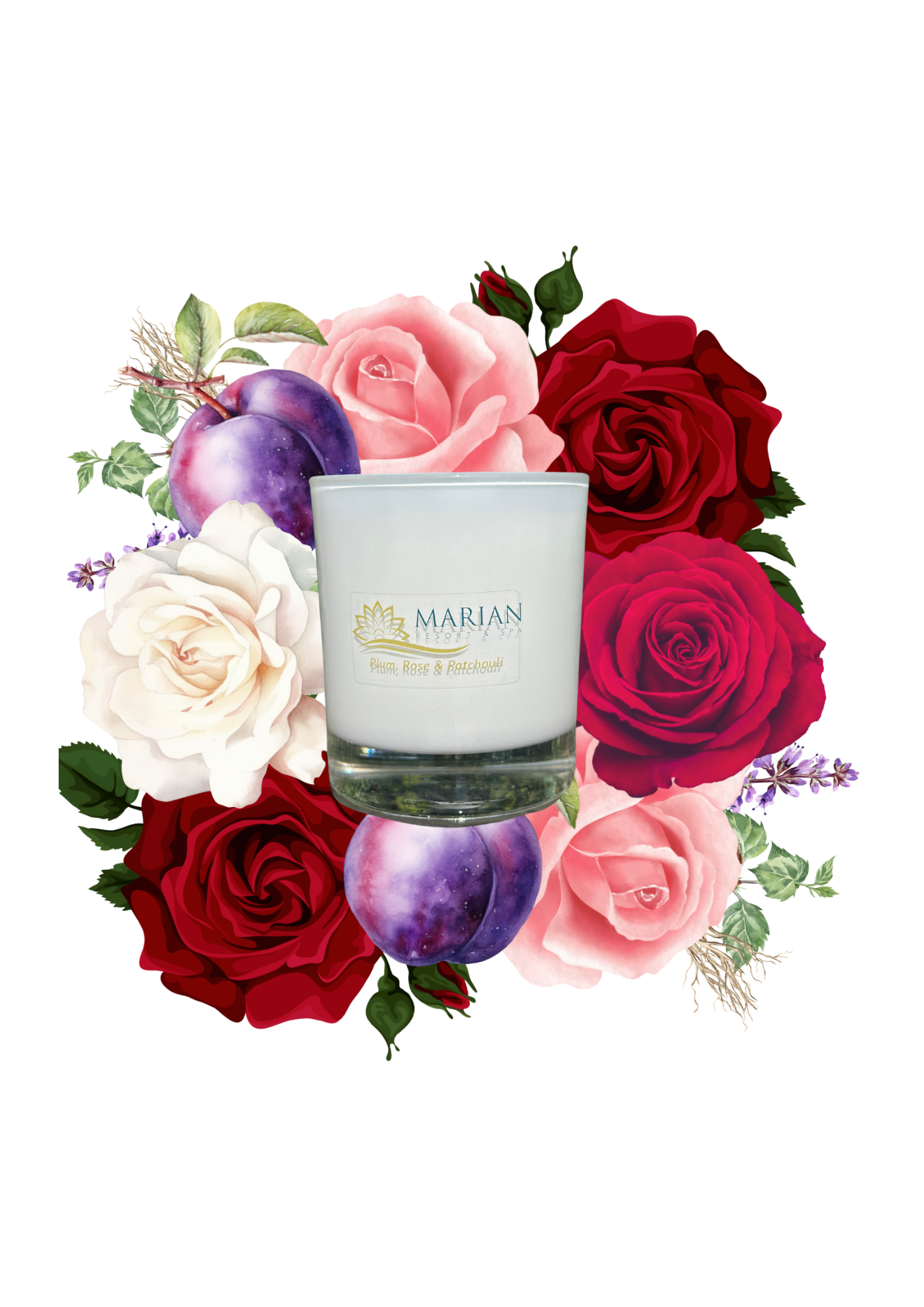 5cl | Plum, Rose & Patchouli 