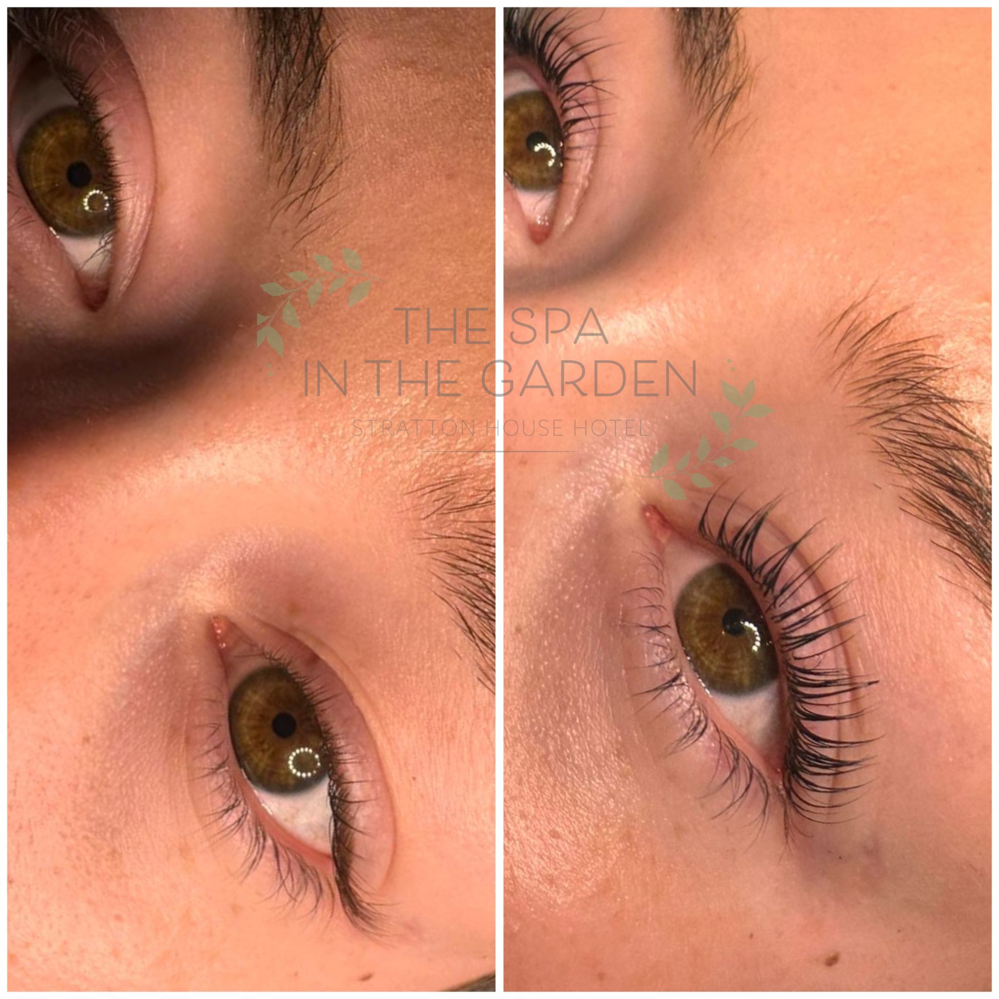 Eyelash Lift & Tint | 60 Minutes