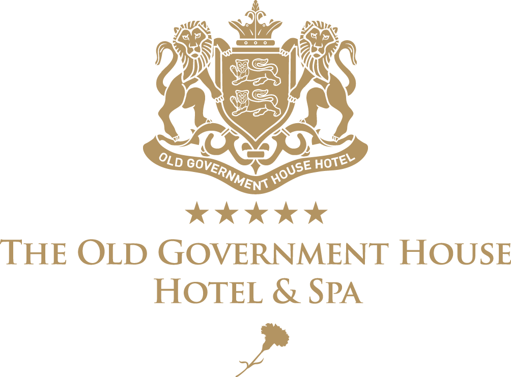 The Old Government House