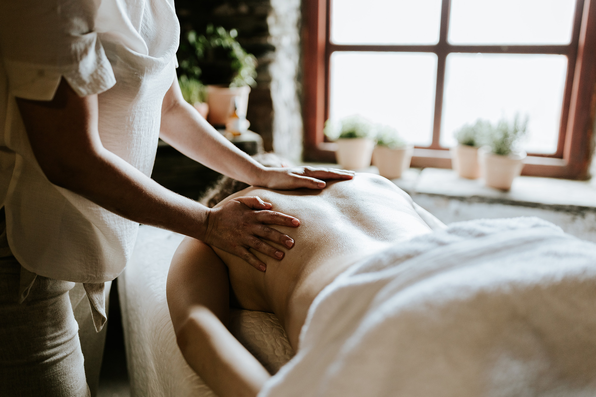 Wildhive Signature Honeycomb Ritual | 90 Minutes