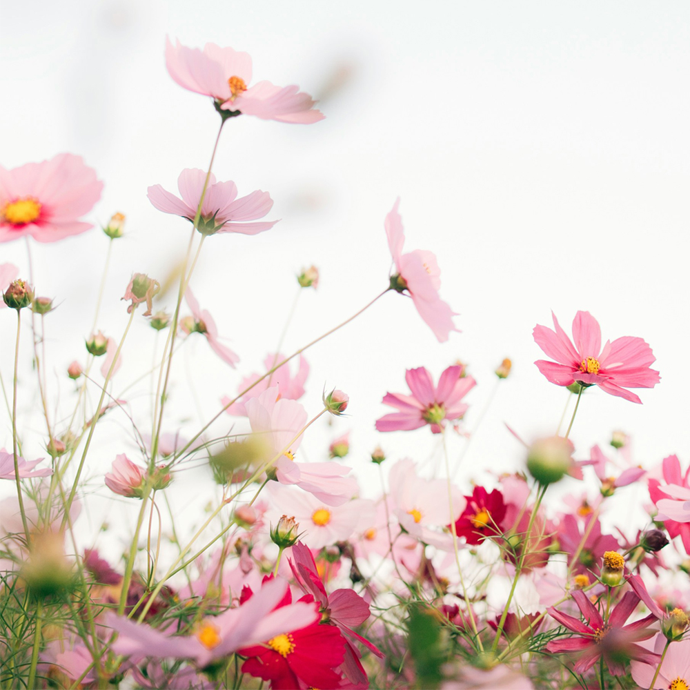 Spring Spa Day | Monday-Thursday 