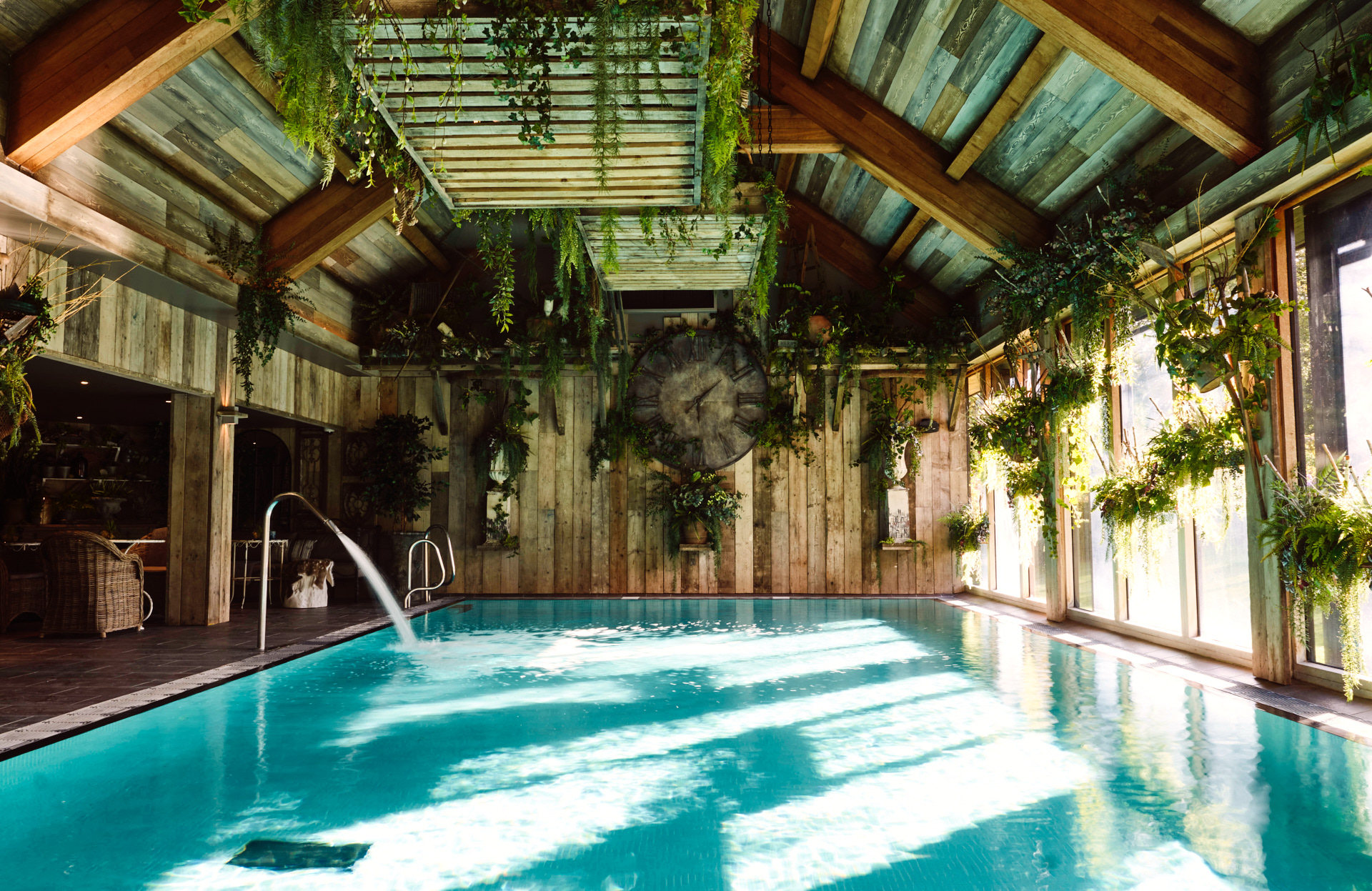 Spring Into The New You