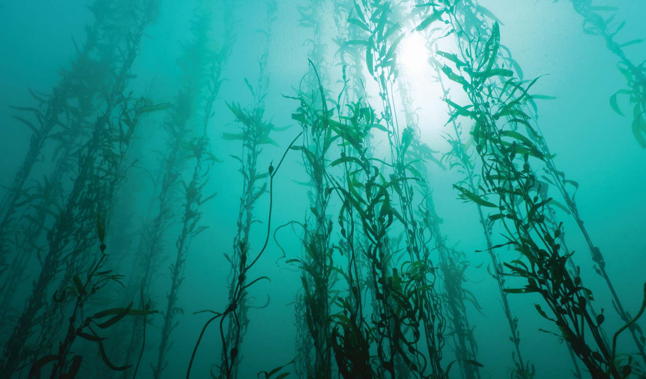 Healing Waters Journey / Fri-Sun