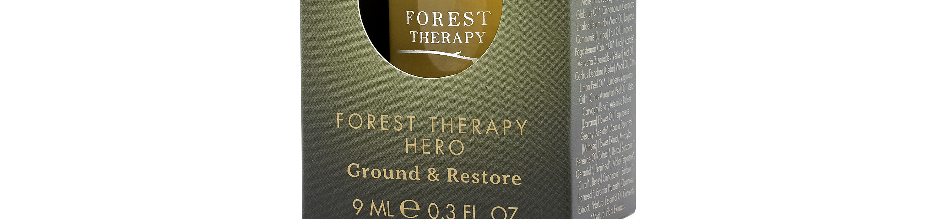Forest Therapy Hero