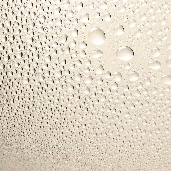 Soothing Apricot Toner