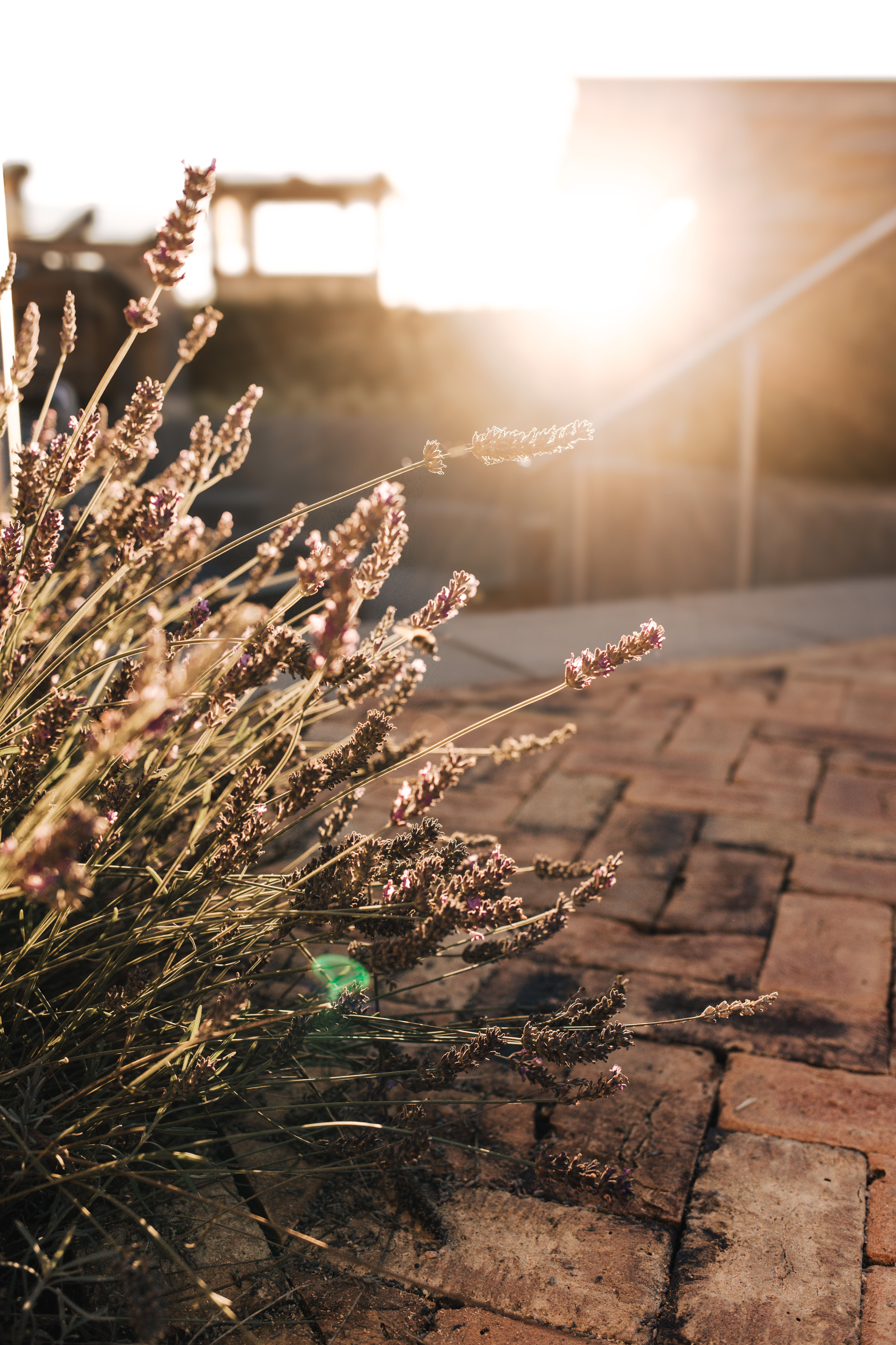 Spring Renewal Spa Day