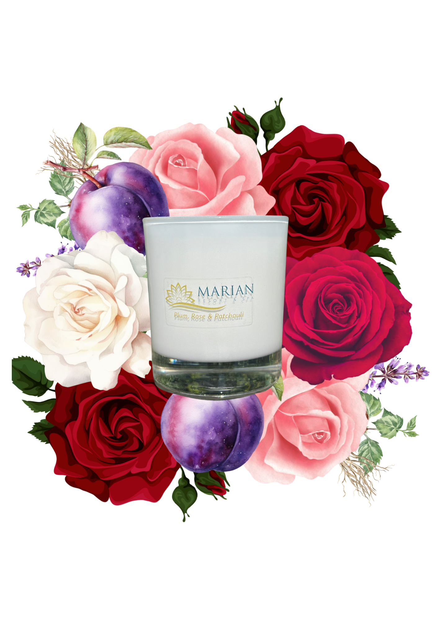 9cl | Plum, Rose & Patchouli 